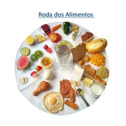 Roda dos Alimentos em Acrlico
