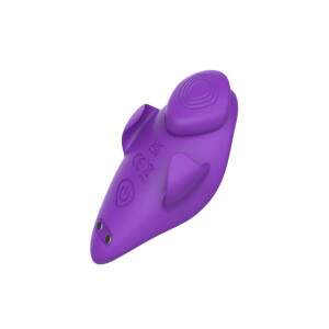 Vibrador de Calcinha Recarregvel com 9 Modos de Vibrao e Controle Remoto