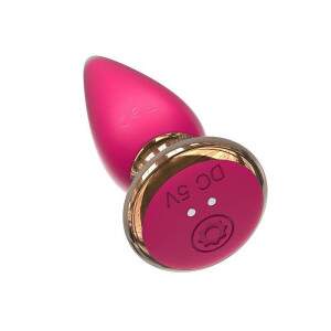 Plug Anal em silicone com 10 Modos de Vibrao com Controle Remoto