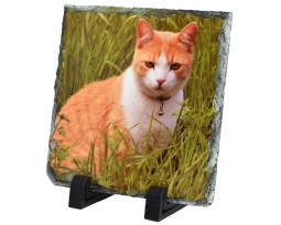 PEDRA PARA SUBLIMA��O (15X15cm)