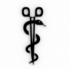 icone_categoria
