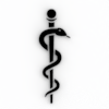 icone_categoria