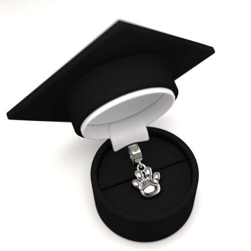 Berloque de Formatura em Prata 925 - Veterinria Patinhas