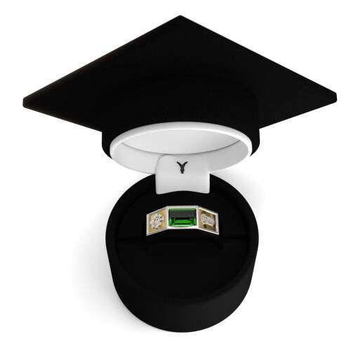 Anel de Formatura em Prata 925 - Engenharia Bioqumica - Atlas