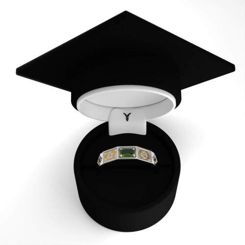 Anel de Formatura em Prata 925 - Cincias Agrrias - Vega