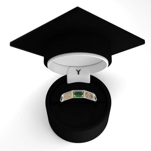 Anel de Formatura em Prata 925 - Cuidador de Idosos - Vega