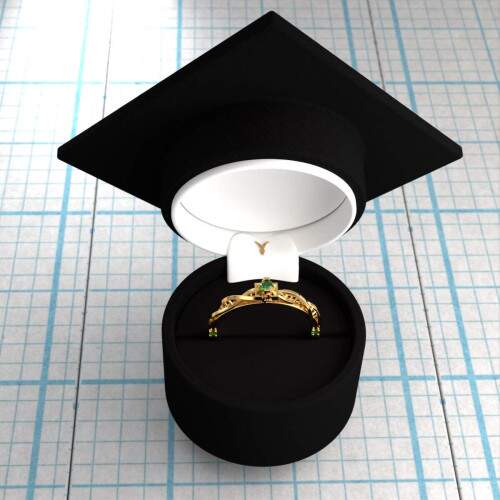 Anel de Formatura em Ouro 18k - Biomedicina - Vitria