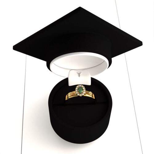 Anel de Formatura em Ouro 18k - Biomedicina - Bella