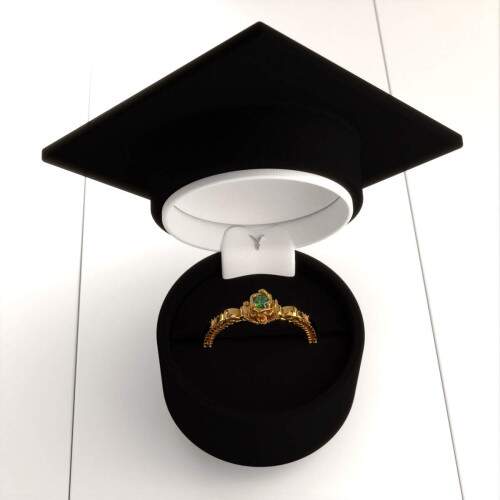 Anel de Formatura em Ouro 18k - Nutrio - Vitria