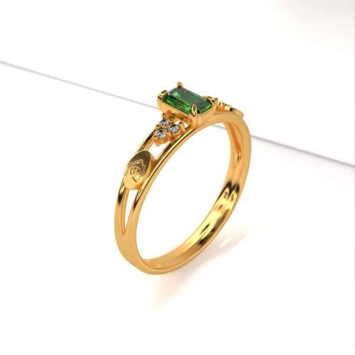 Anel de Formatura em Ouro 18k - Cuidadores de Idosos - Octogonal