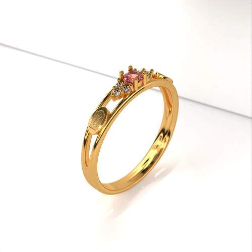 Anel de Formatura em Ouro 18k - Cincias Contbeis - Redondo
