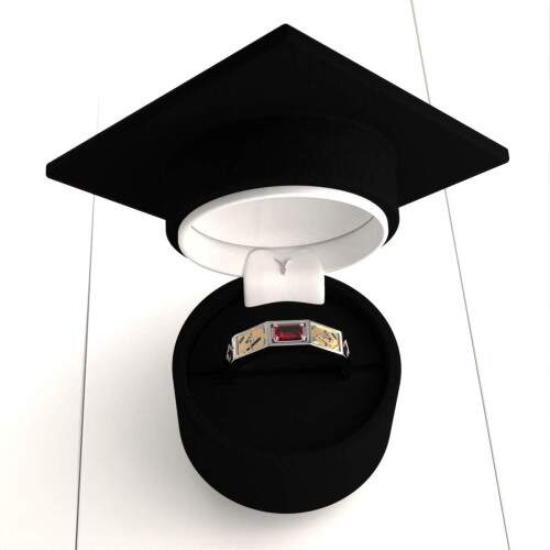 Anel Masculino em Prata 925 - Maonaria - Vega