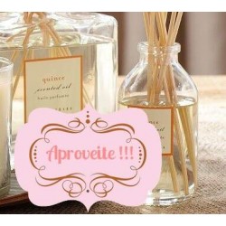 Base Ve�culo para Perfume e Aromatizador Regia - Litro