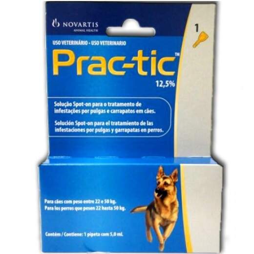 prac tic para cães