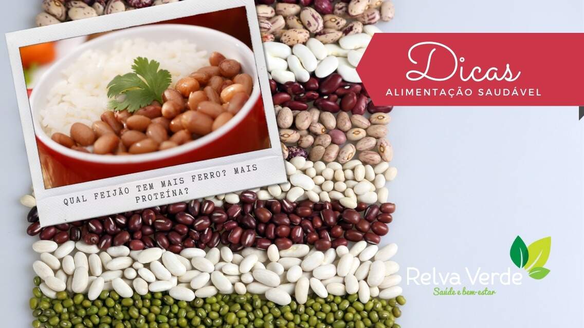 Qual feijão tem mais ferro? e qual o feijão que tem mais proteína?