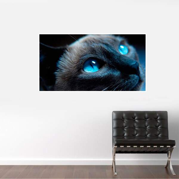 Painel Fotográfico Adesivo Gato de olho azul Renove Adesivos Armario Farmacia ~ Painel Fotográfico Adesivo Gato de olho azul Renove Adesivos