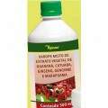 Xarope Guaraná 500ml - 20042 S