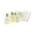 Conjunto Miniaturas 4 Itens - N48003