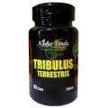 Tribulus Terrestris 500mg 60 Cáps. - 90274