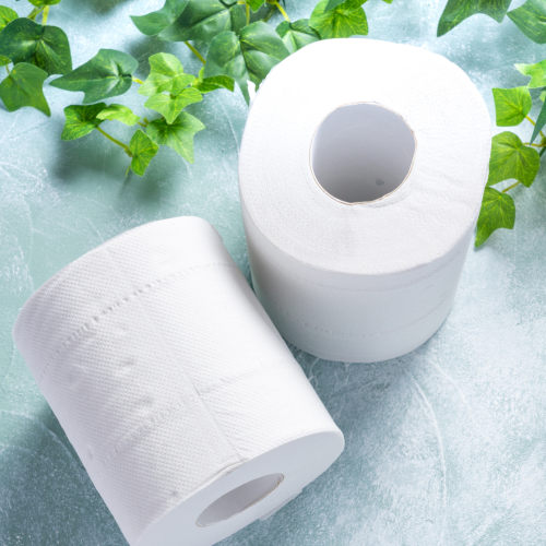 Papel Higinico 30Mts Folha Simples Personal Pps45 Pct/4