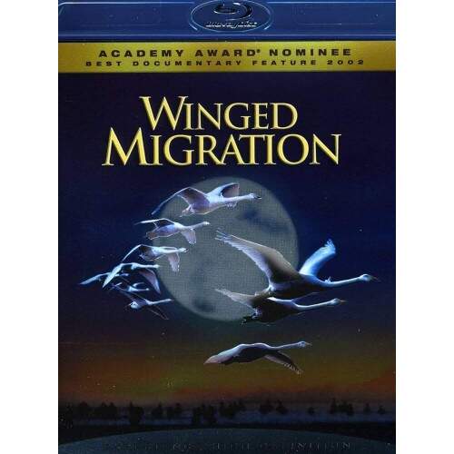 Winged Migration - Blu Ray Importado Regio 1SEMINOVO REVISADO