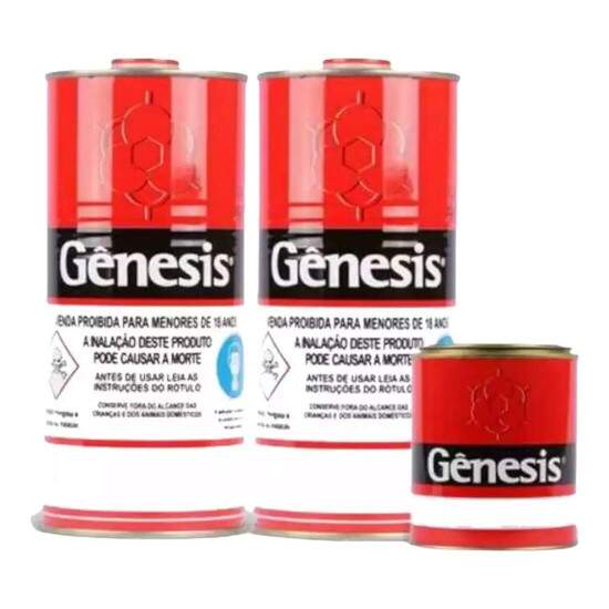 Kit Resina de Sublimao RS.1010, Catalisador 220ml e Diluente Gnesis - 900ml