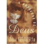 O Advogado De Deus - Esprito Lucius - Zibia Gasparetto