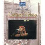 Caetano Veloso - Mestres Da Msica No Brasil - Mabel Velloso