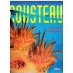 A Grande Aventura De Cousteau - Volumes 2 E 3 - Juan Carlos Guix