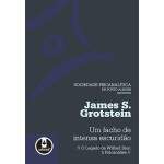 Um Facho De Intensa Escurido - James S Grotstein
