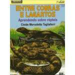 Entre Cobras E Lagartos - Aprendendo Sobre Rpteis - Cleide Morsoletto Tagliaferri