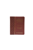 Bíblia Sagrada c/ Harpa Avivada e Corinhos PJV borda - Cor Marrom