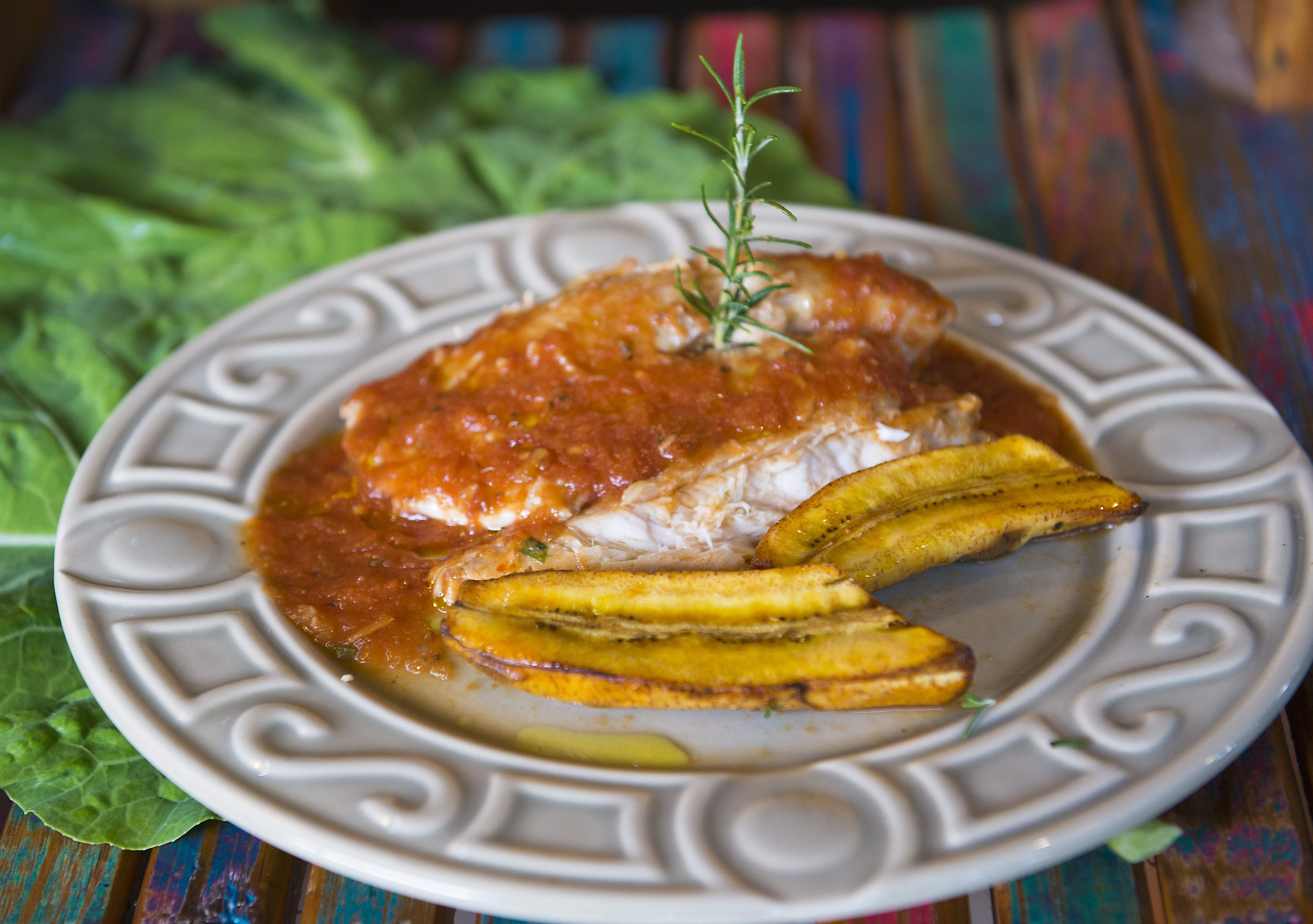 MOQUECA DE TILÁPIA COM BANANA DA TERRA 350 G Oca Alimentos