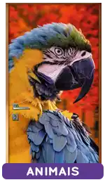 Adesivos Para Portas De Animais