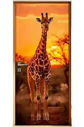 Adesivo Para Porta De Animais Africanos