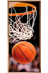 Adesivos De Porta De Basquete
