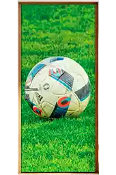 Adesivos De Porta De Futebol