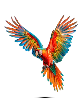 Papel De Parede Aves