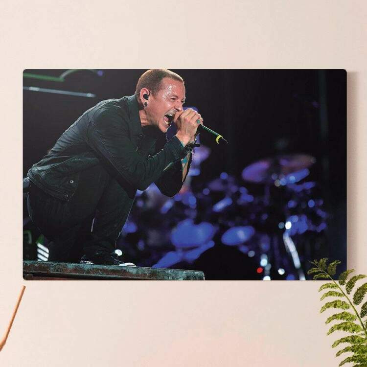 Placa Decorativa Linkin Park 11