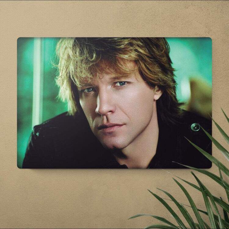 Placa Decorativa Bon Jovi 4
