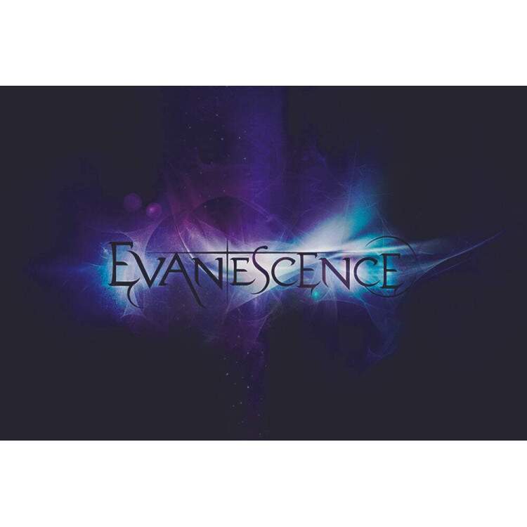 Placa Decorativa Evanescence 4