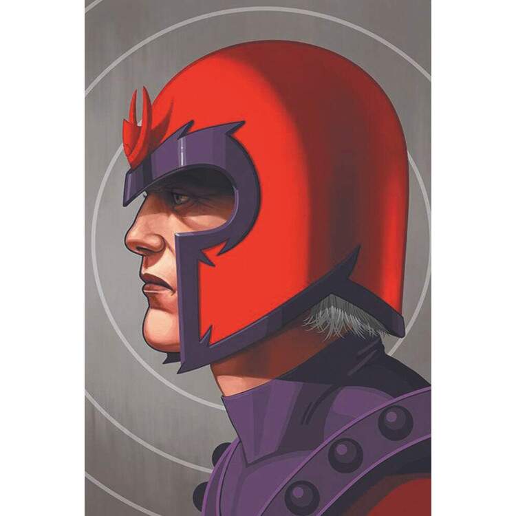 Placa decorativa Heris Marvel 14 - Magneto