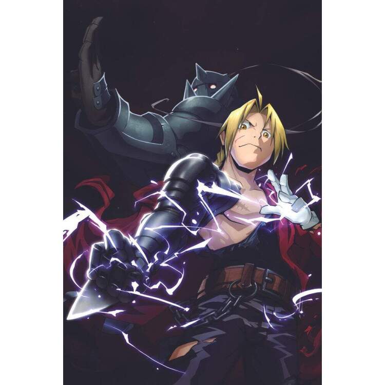 Placa Decorativa Fullmetal Alchemist 6