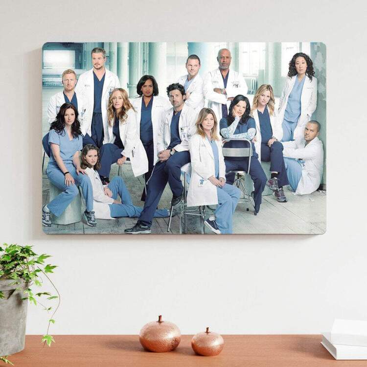 Placa Decorativa Greys Anatomy 4