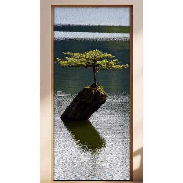 Adesivo Para Porta Bonsai 1
