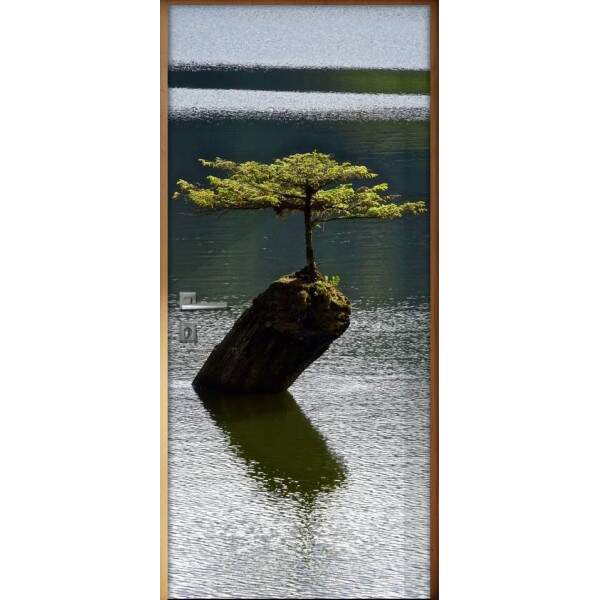 Adesivo Para Porta Bonsai 1