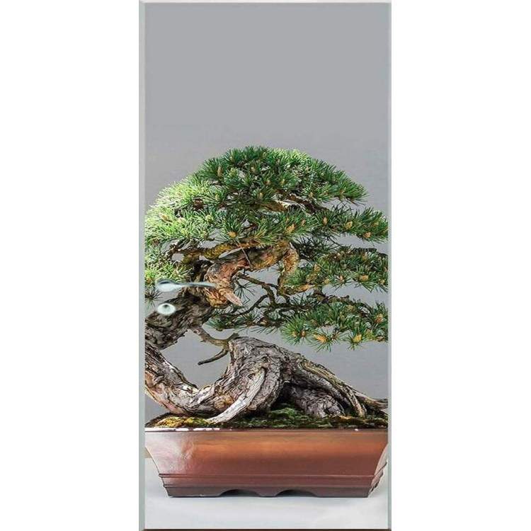 Adesivo Para Porta Bonsai 3
