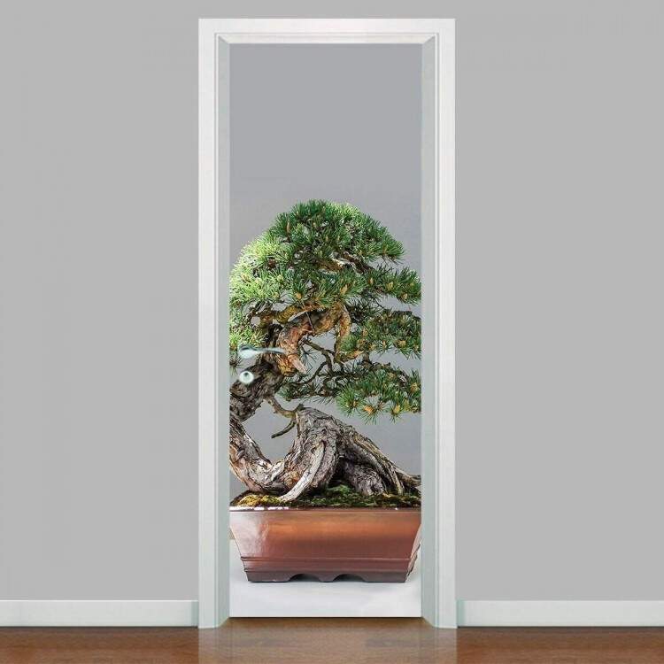 Adesivo Para Porta Bonsai 3