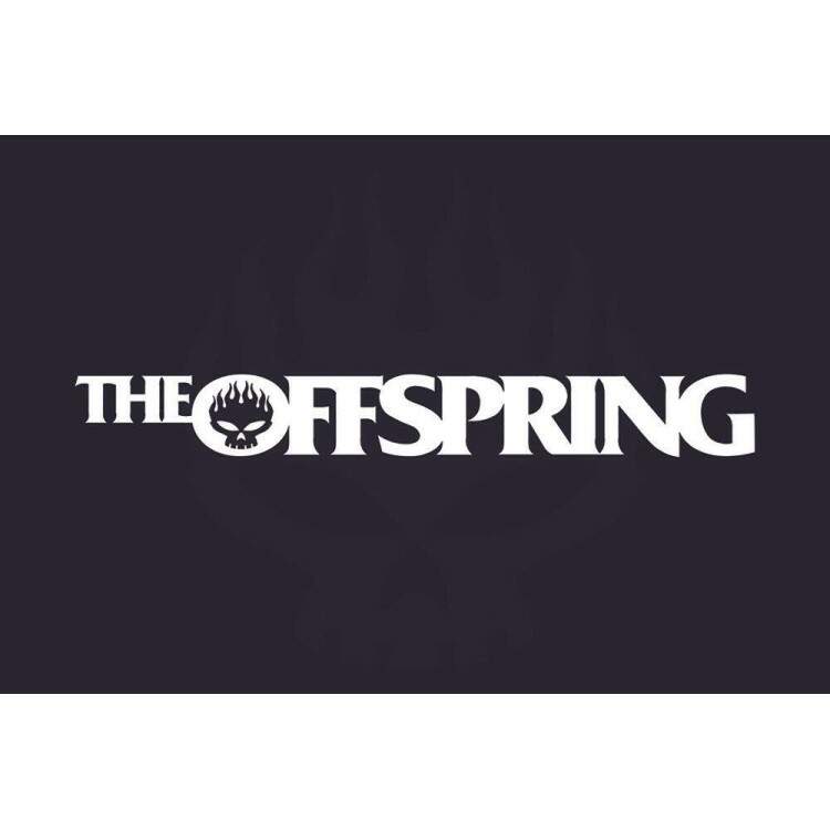 Placa Decorativa The Offspring 2