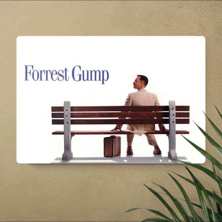 Placa Decorativa Forrest Gump 3